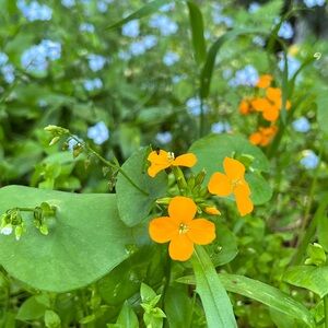 Meet your Posher, Heidi